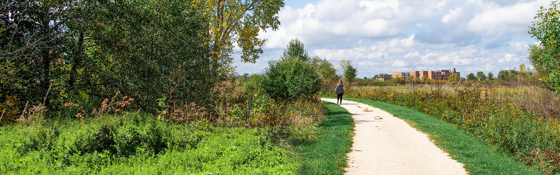 Picturesque nature path leading to the Grayslake CLC campus