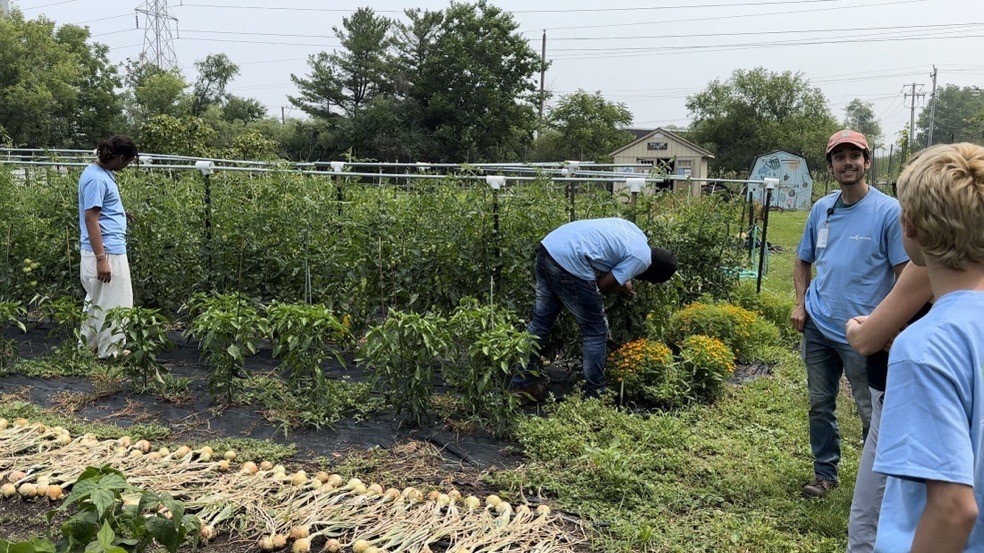 Students working on the farm