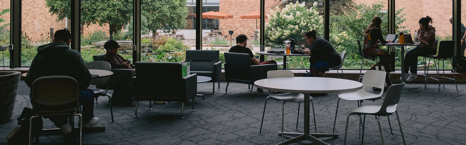 Students studying in common areas