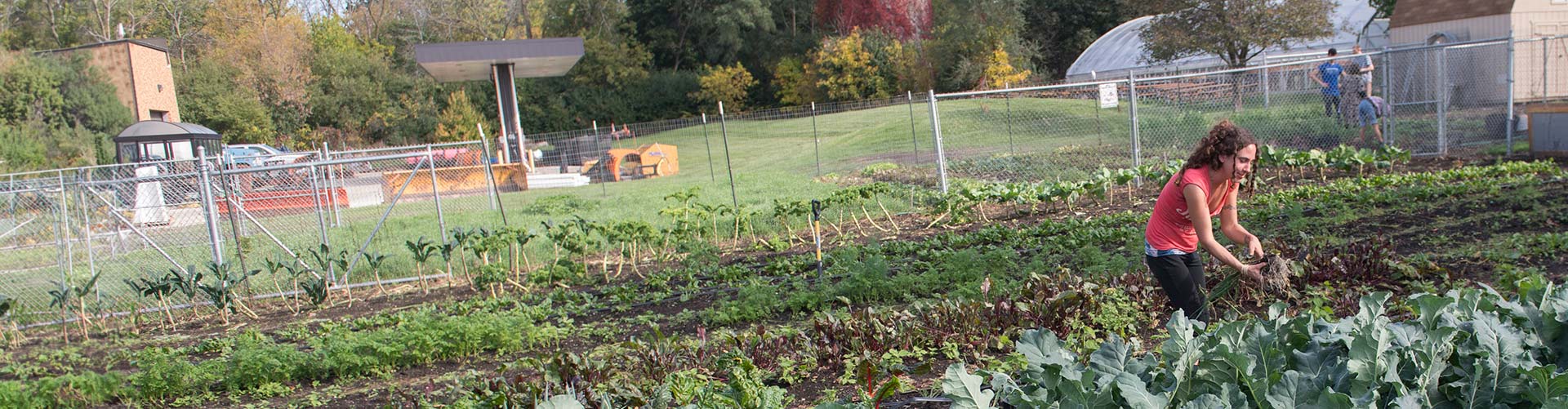 A student tending a garden on the Grayslake Campus