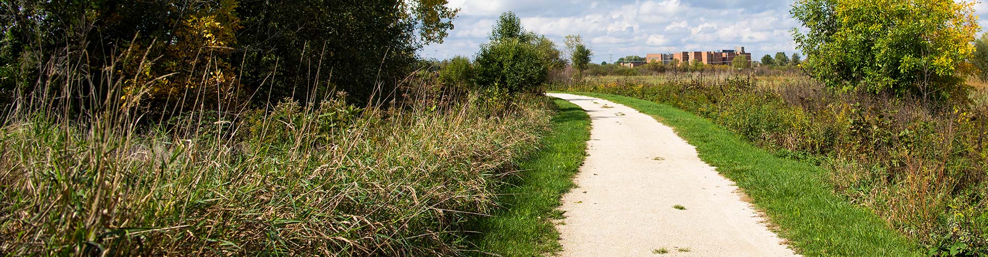 A gravel trail surrounded by green prairie grass