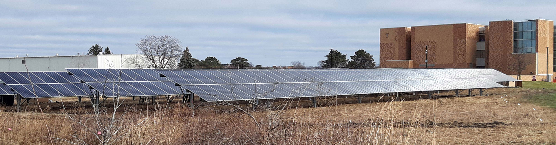 Solar Panel field at Grayslake Campus