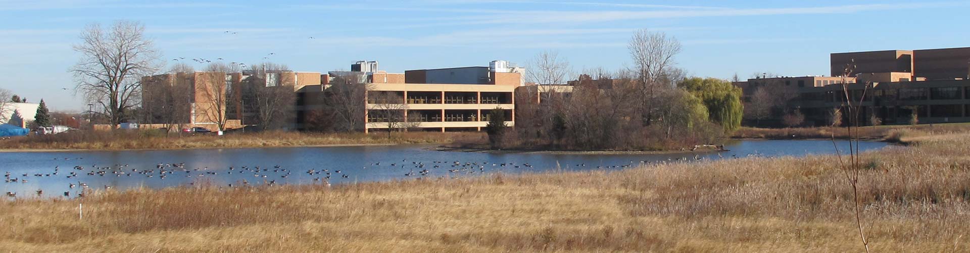 Willow Lake at Grayslake Campus