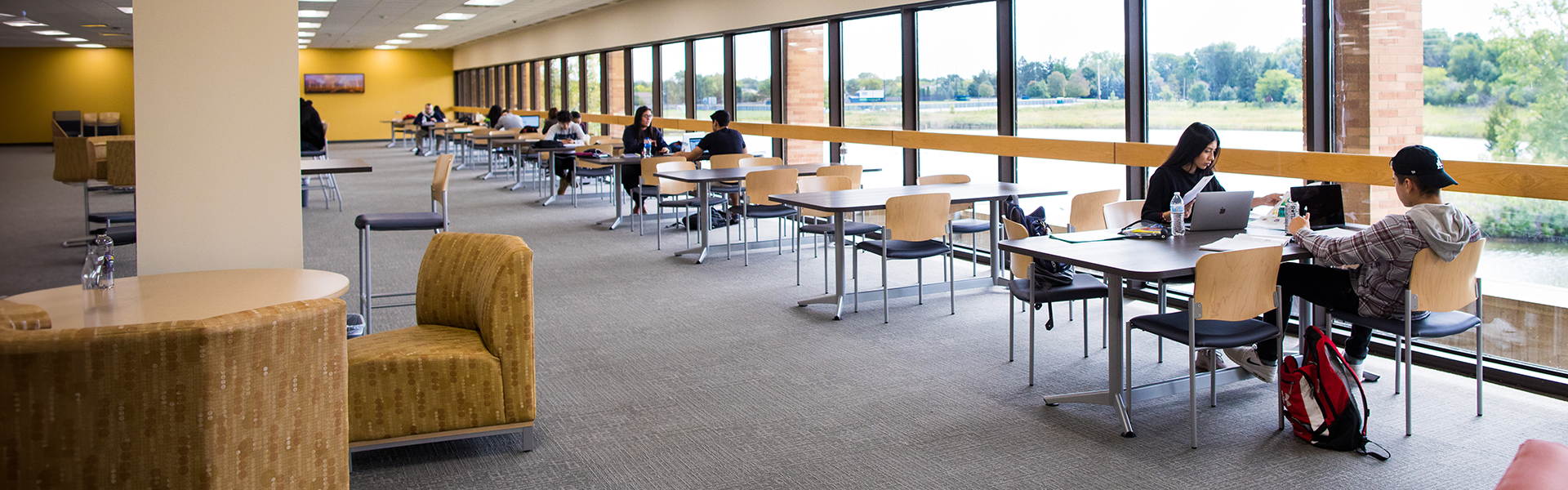 Students studying in the library