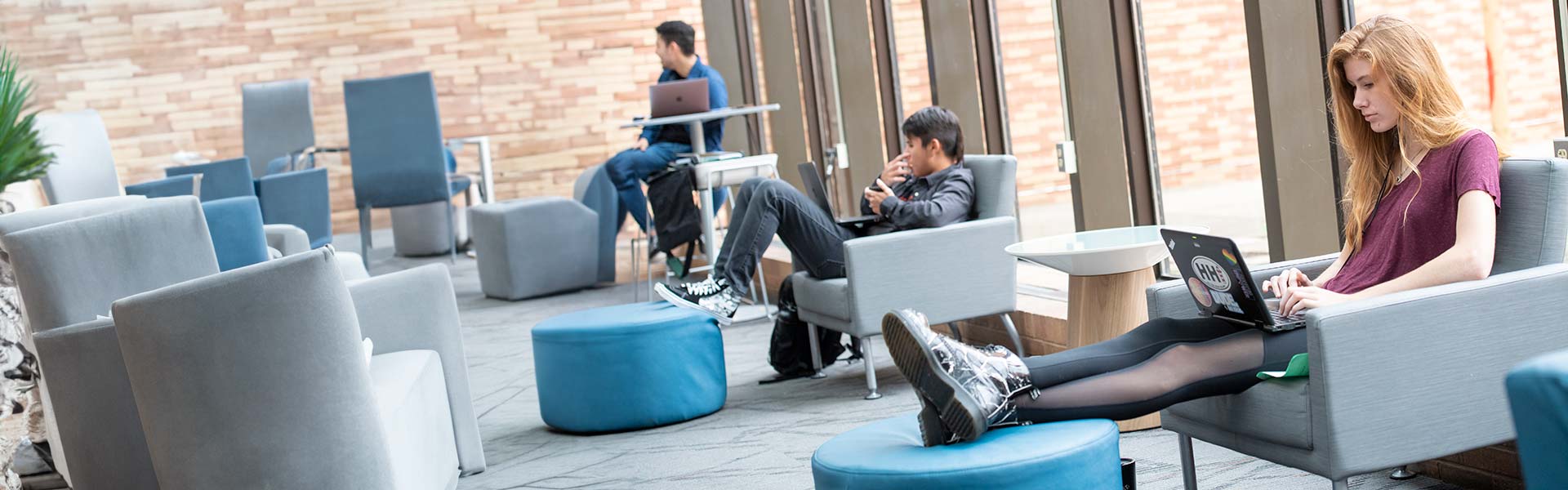 Student studying in the library