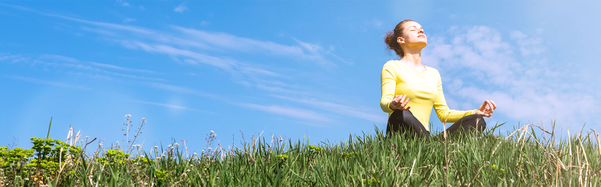 Attend a health and wellness program information session