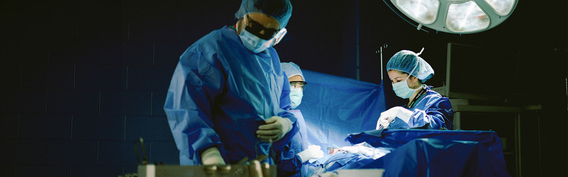 Attend a surgical technology information session