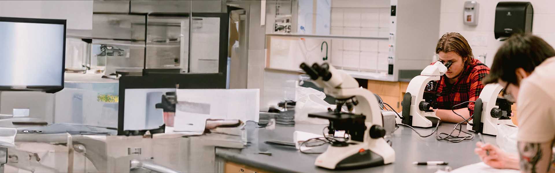 Students in a science lab and looking into microscopes.