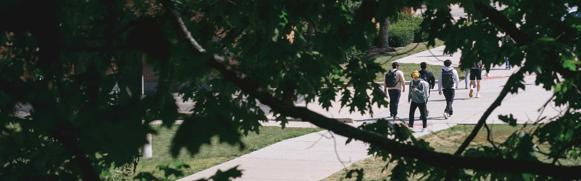 Students walking on the sidewalk on campus surrounded by tree branches