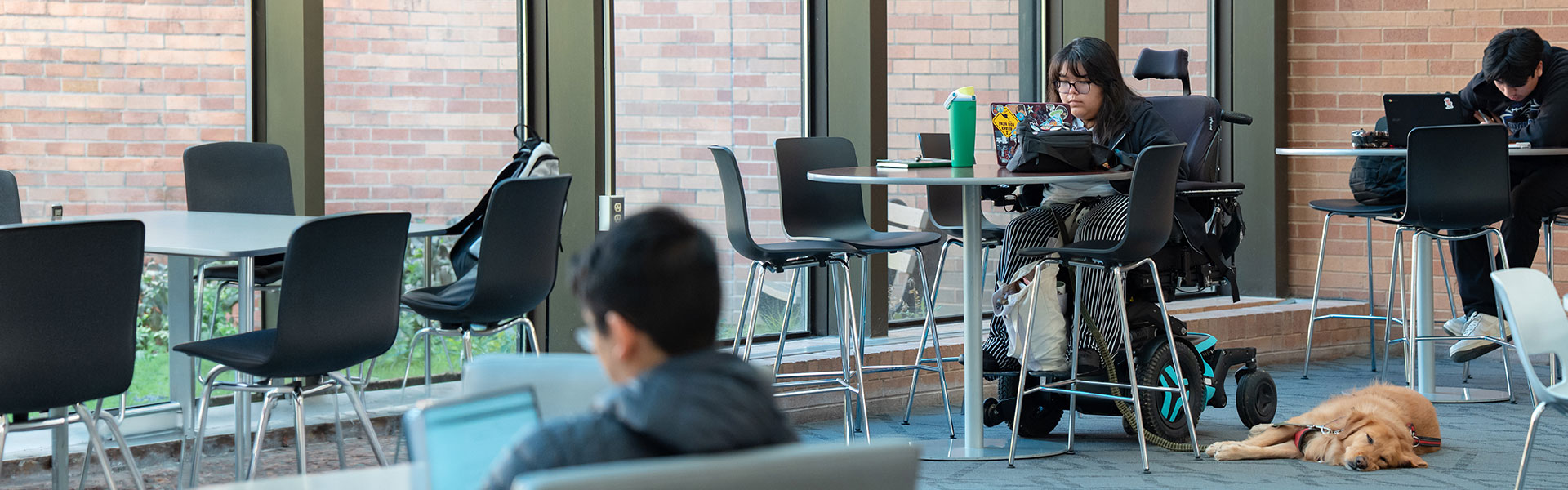 Student and service dog studying in the atrium, Grayslake Campus