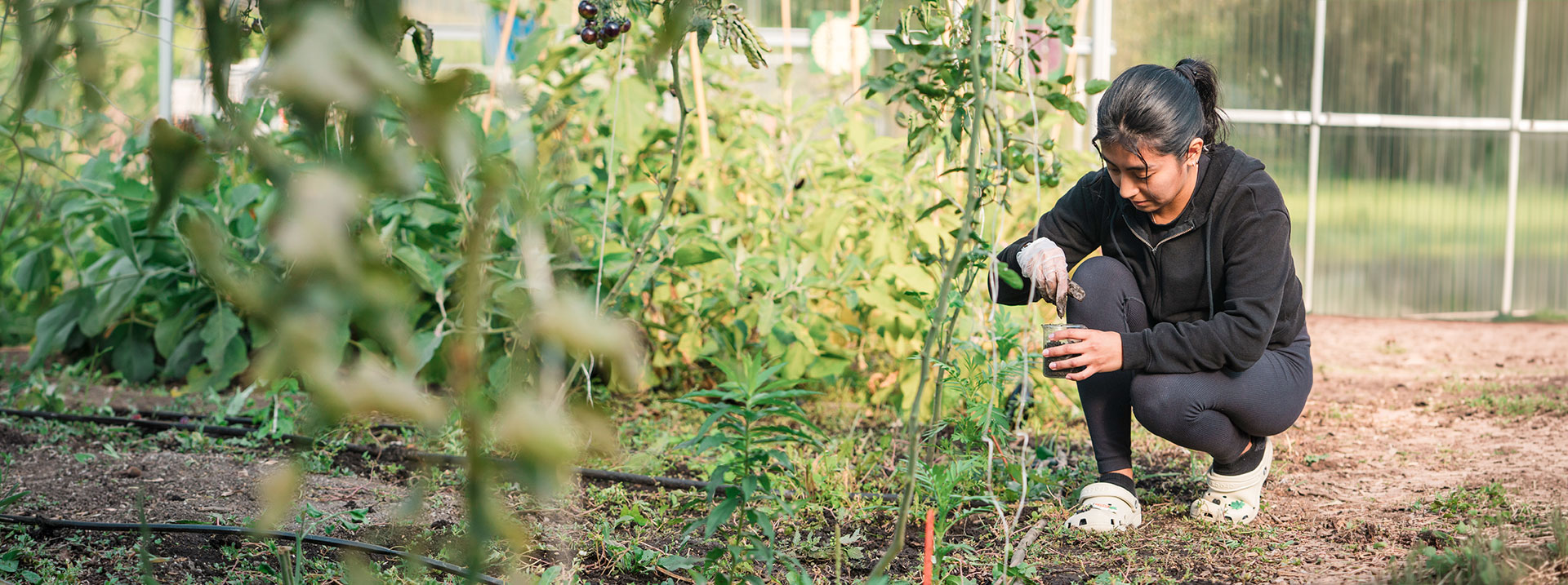 Student working on the campus farm