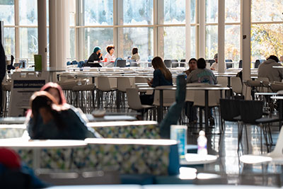Sun shining through the windows onto the CLC student commons