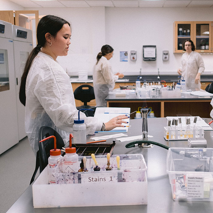 Students learning hands on in the laboratory